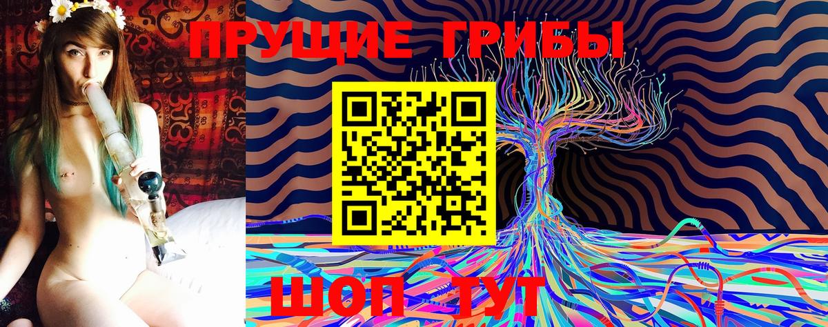 Псилоцибиновые грибы Cubensis Узловая