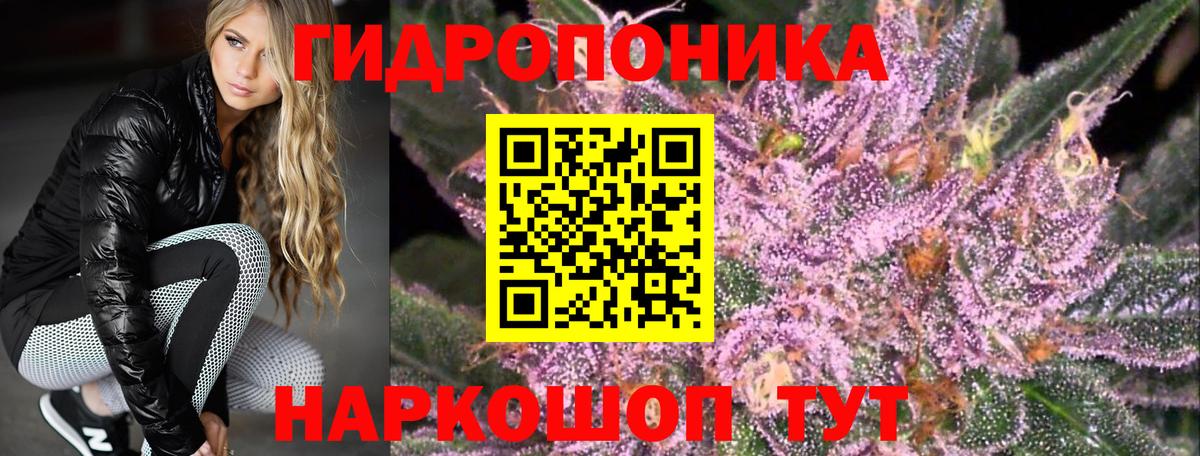 Каннабис ГИДРОПОН Узловая